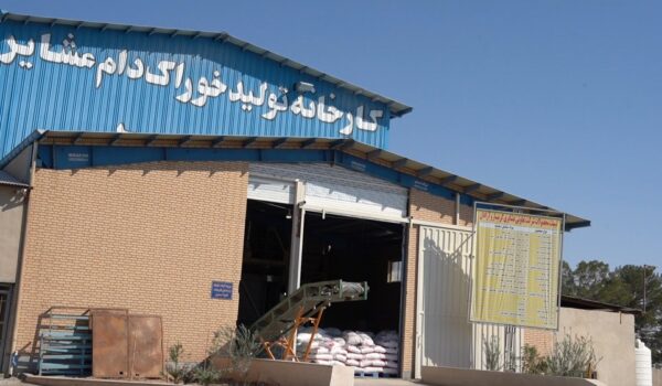 کارخانه خوراک دام